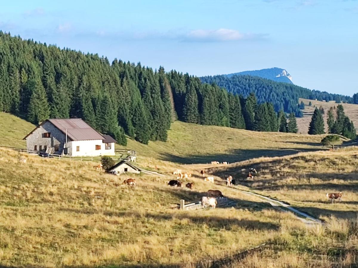 Ferienwohnung Il Riccio Del Castagno Novaledo Exterior foto